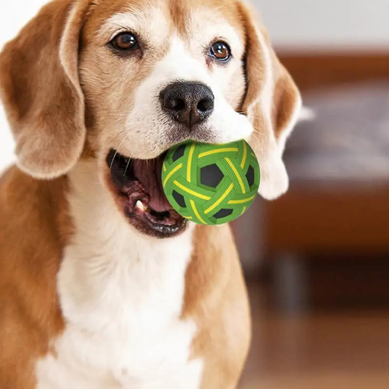 Interactive Pet Ball Toy Set