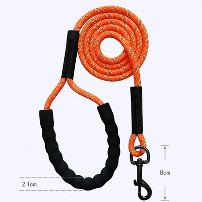 Pet Outdoor Training Walking Rope