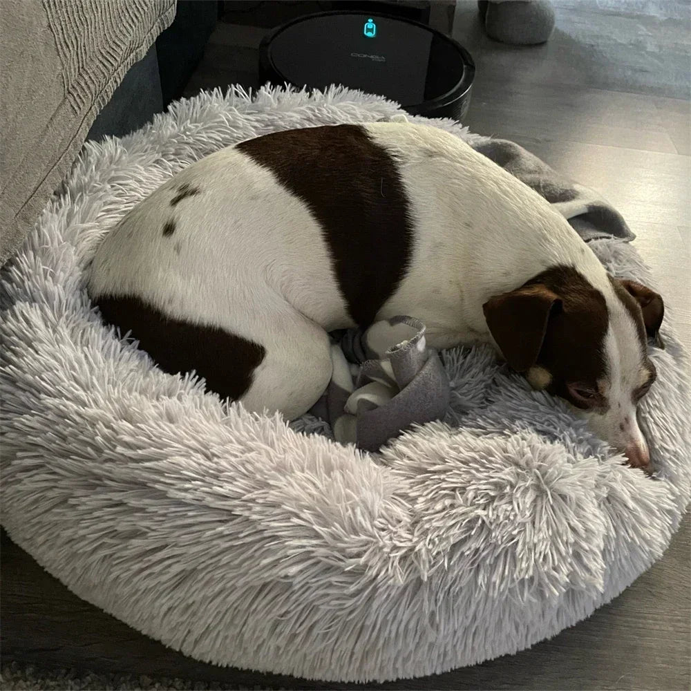 Plush Round Pet Bed