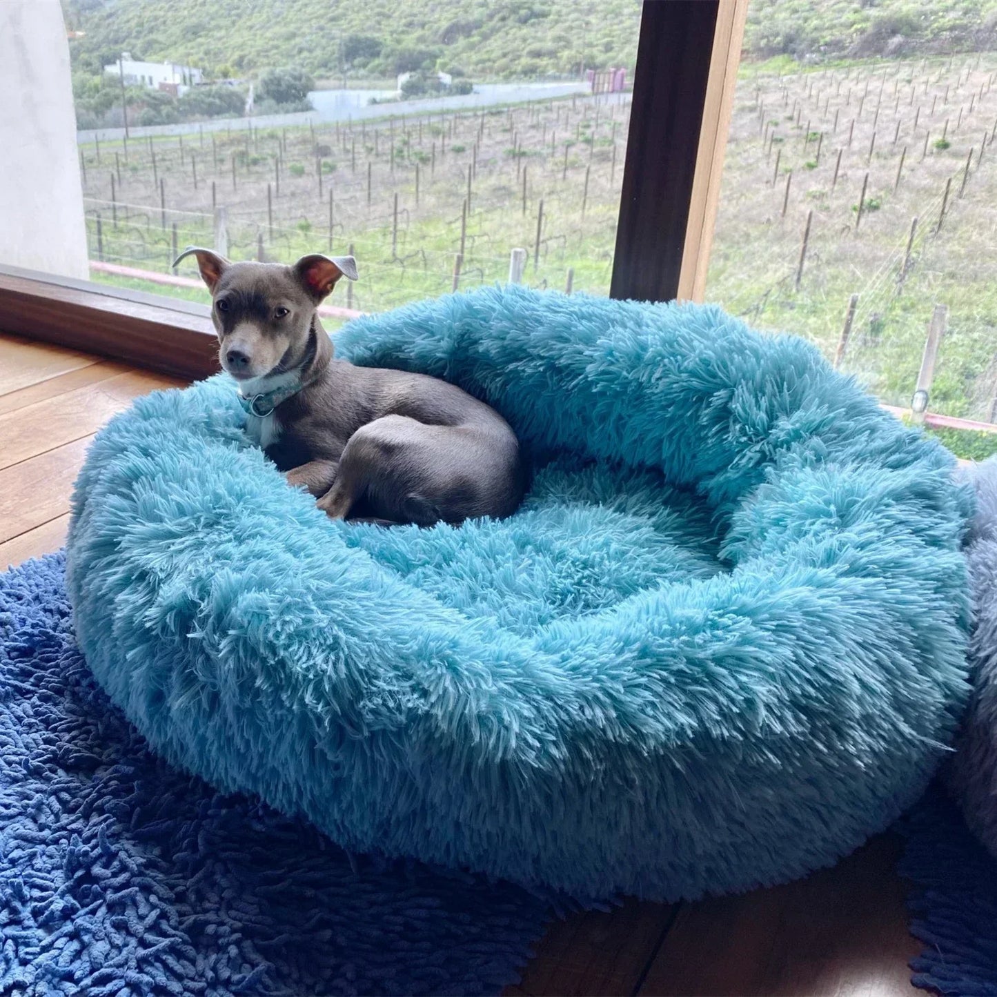 Plush Round Pet Bed