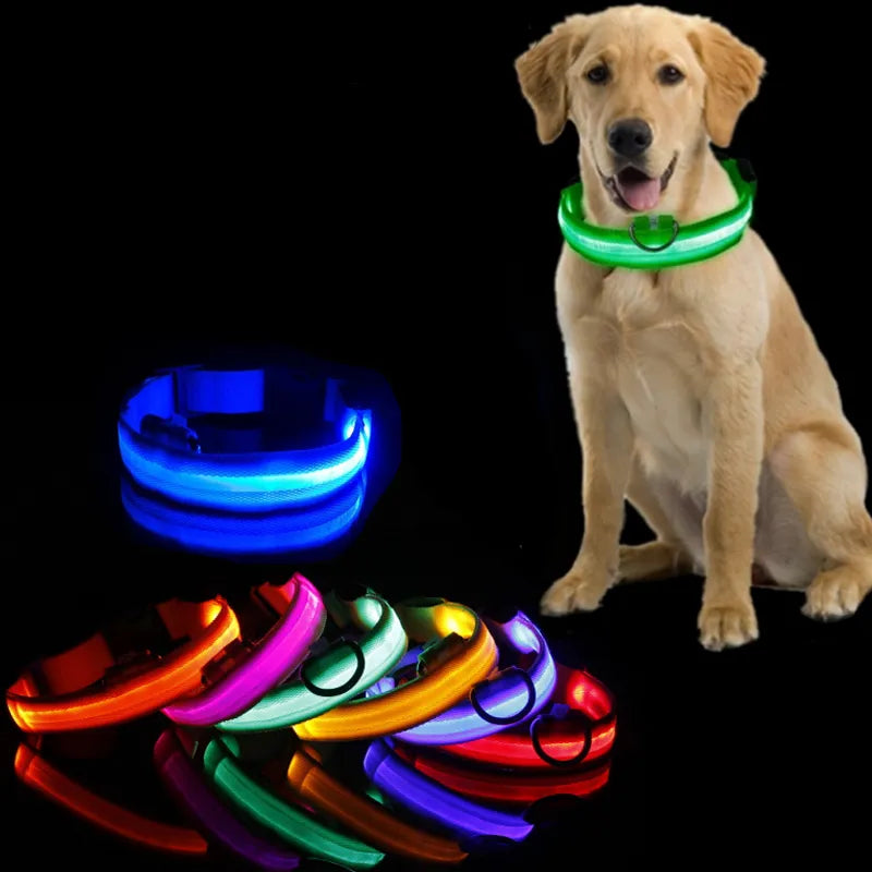 Night Luminous LED Pet Collar