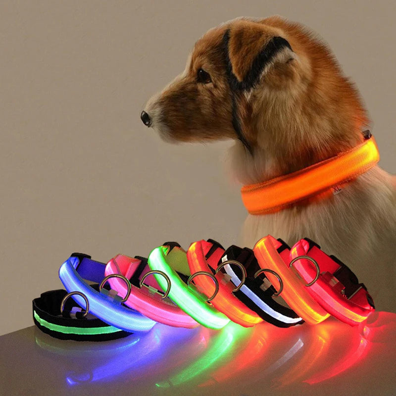 Night Luminous LED Pet Collar