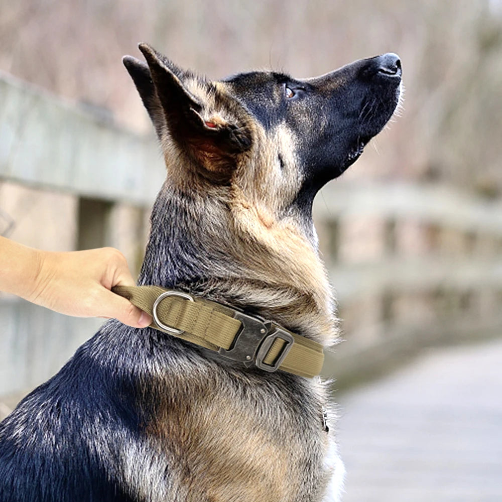 Durable Military Tactical Pet Collar