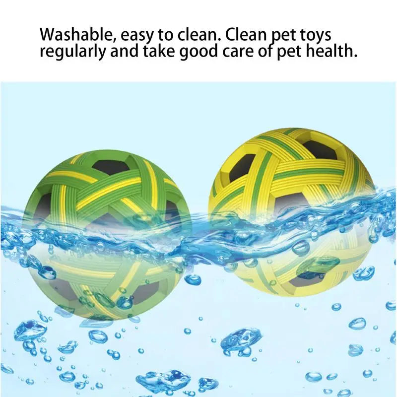 Interactive Pet Ball Toy Set