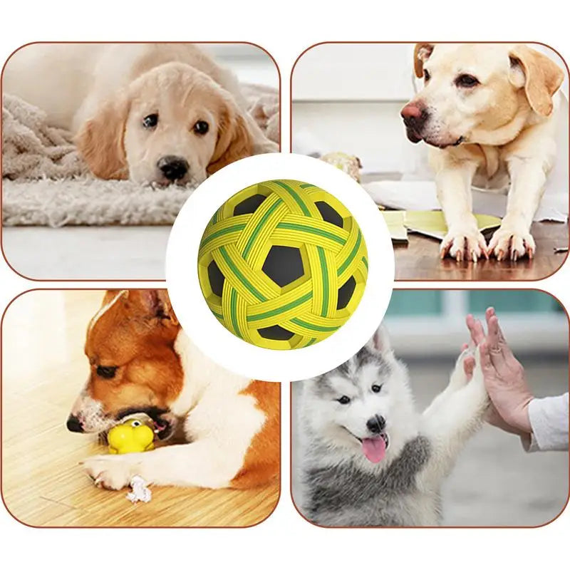 Interactive Pet Ball Toy Set