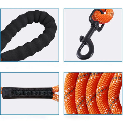 Pet Outdoor Training Walking Rope