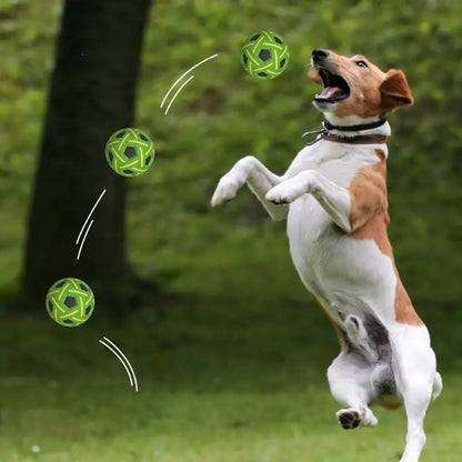 Interactive Pet Ball Toy Set