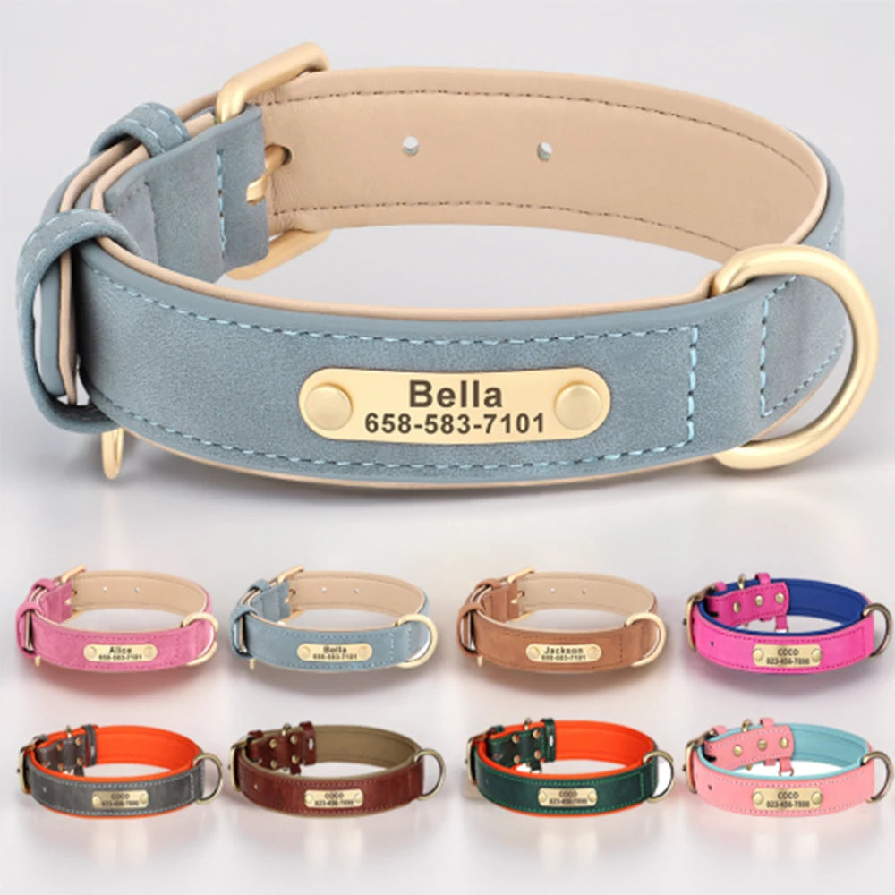 Engraved PU Leather Pet Collars