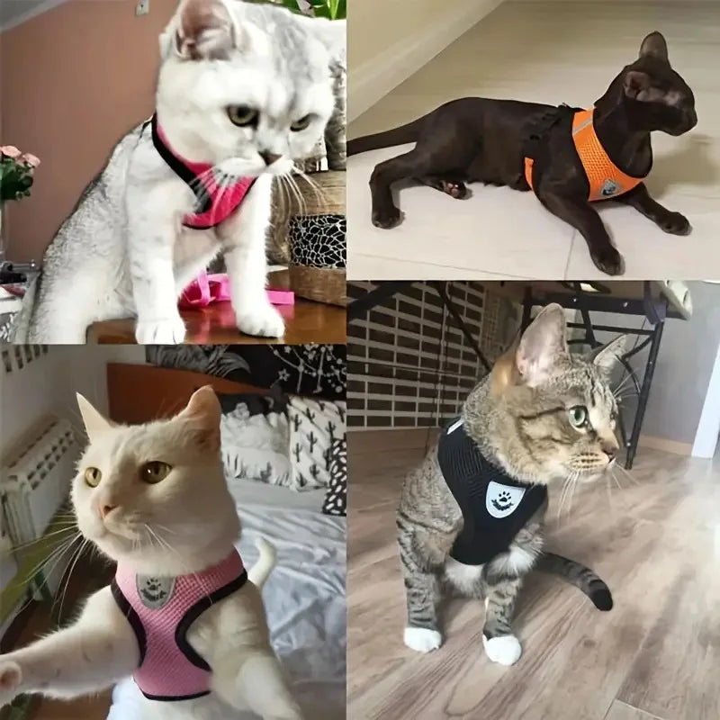 Mesh Pet Harness