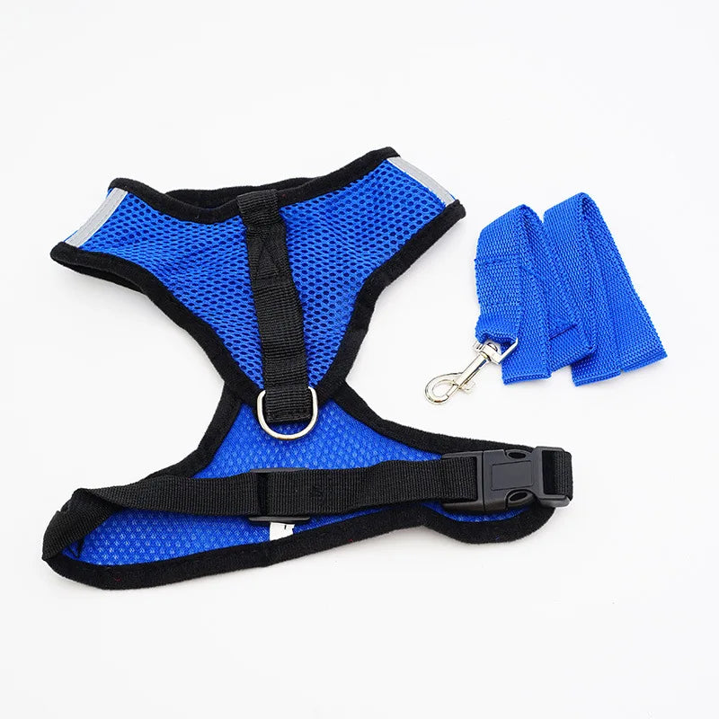 Mesh Pet Harness