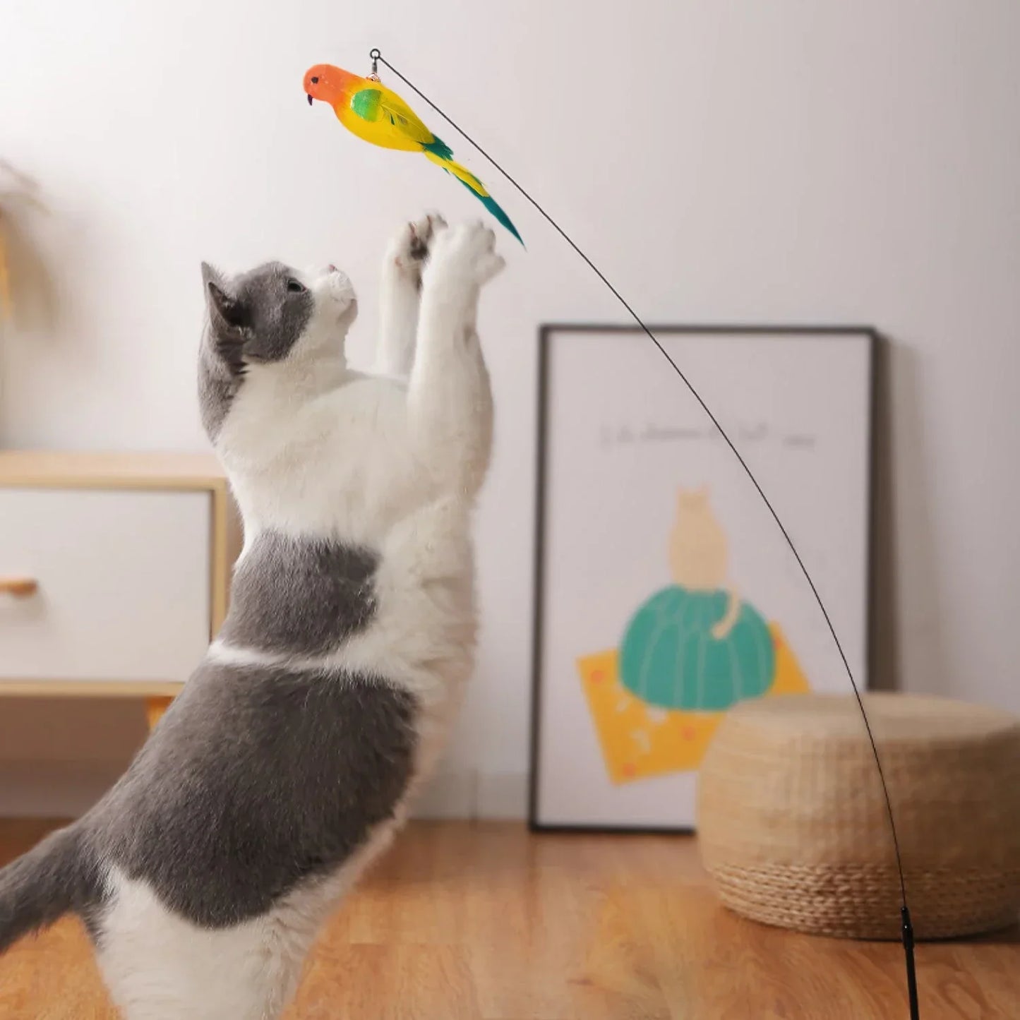 Pet Bird Feather with Bell Toy