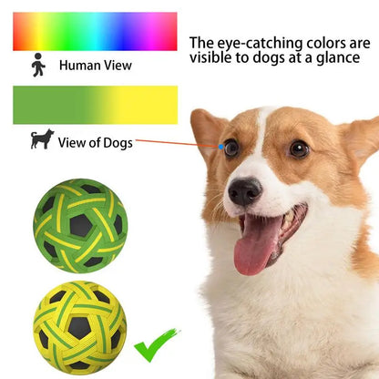 Interactive Pet Ball Toy Set