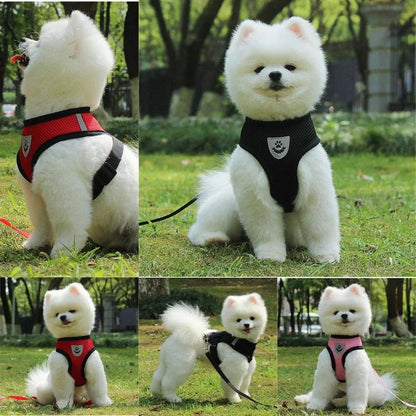 Mesh Pet Harness