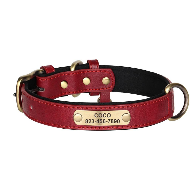 Engraved PU Leather Pet Collars